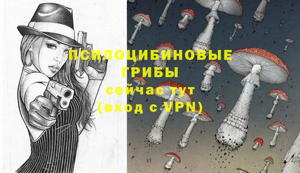 наркотики Алексин