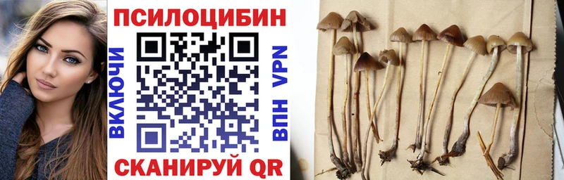 Псилоцибиновые грибы GOLDEN TEACHER Катав-Ивановск